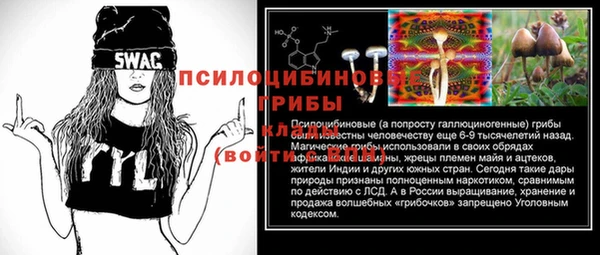 эйфоретик Богородск