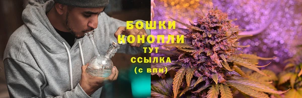 эйфоретик Богородск